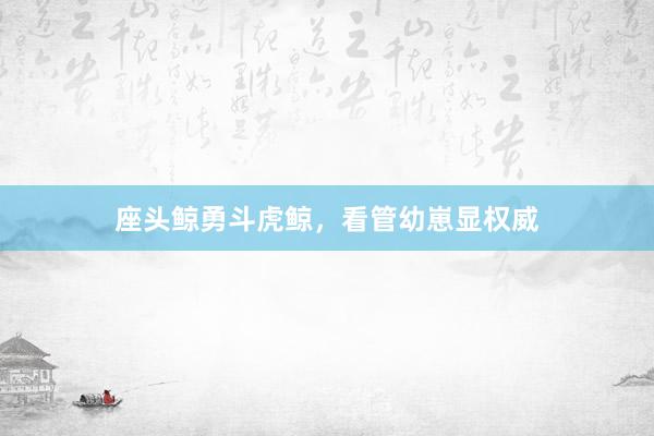 座头鲸勇斗虎鲸，看管幼崽显权威