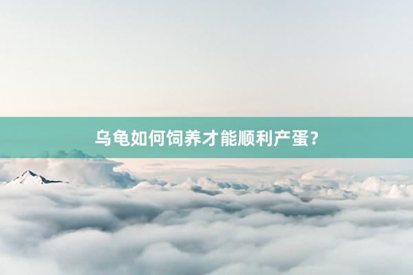 乌龟如何饲养才能顺利产蛋？